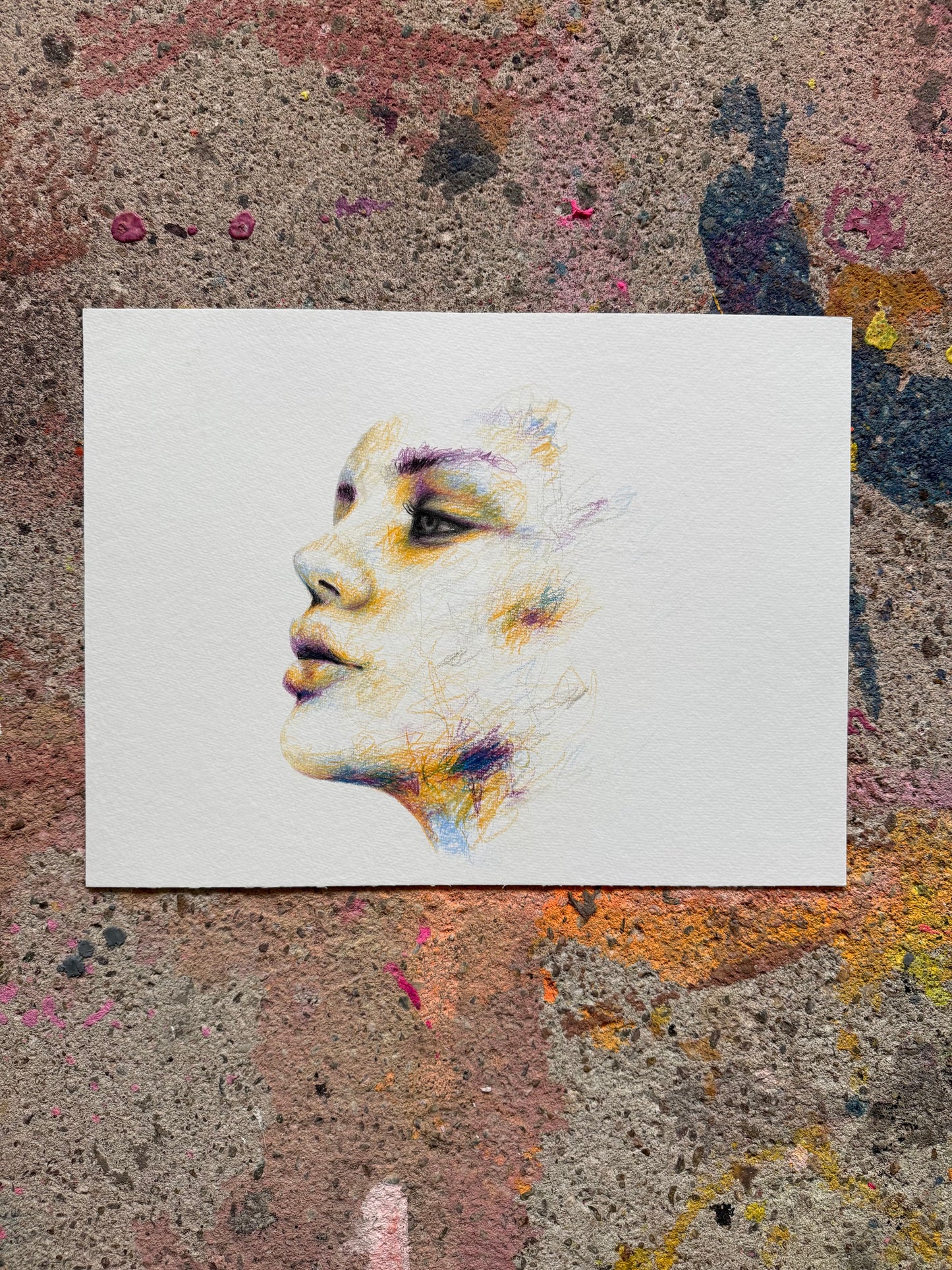 portrait | limited chaos II