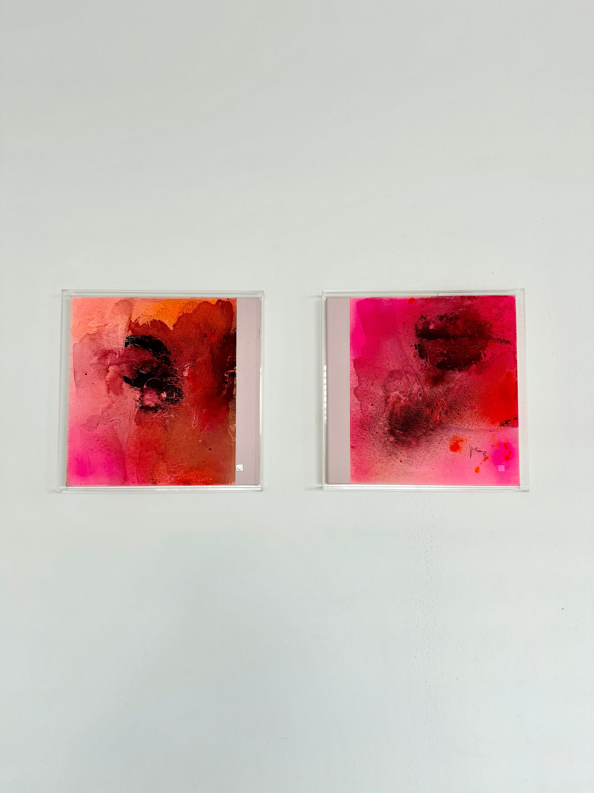 vibrant pink collection