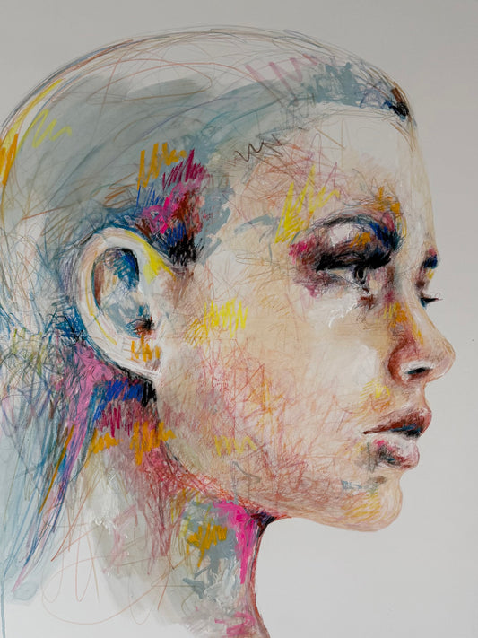 portrait | systematic chaos
