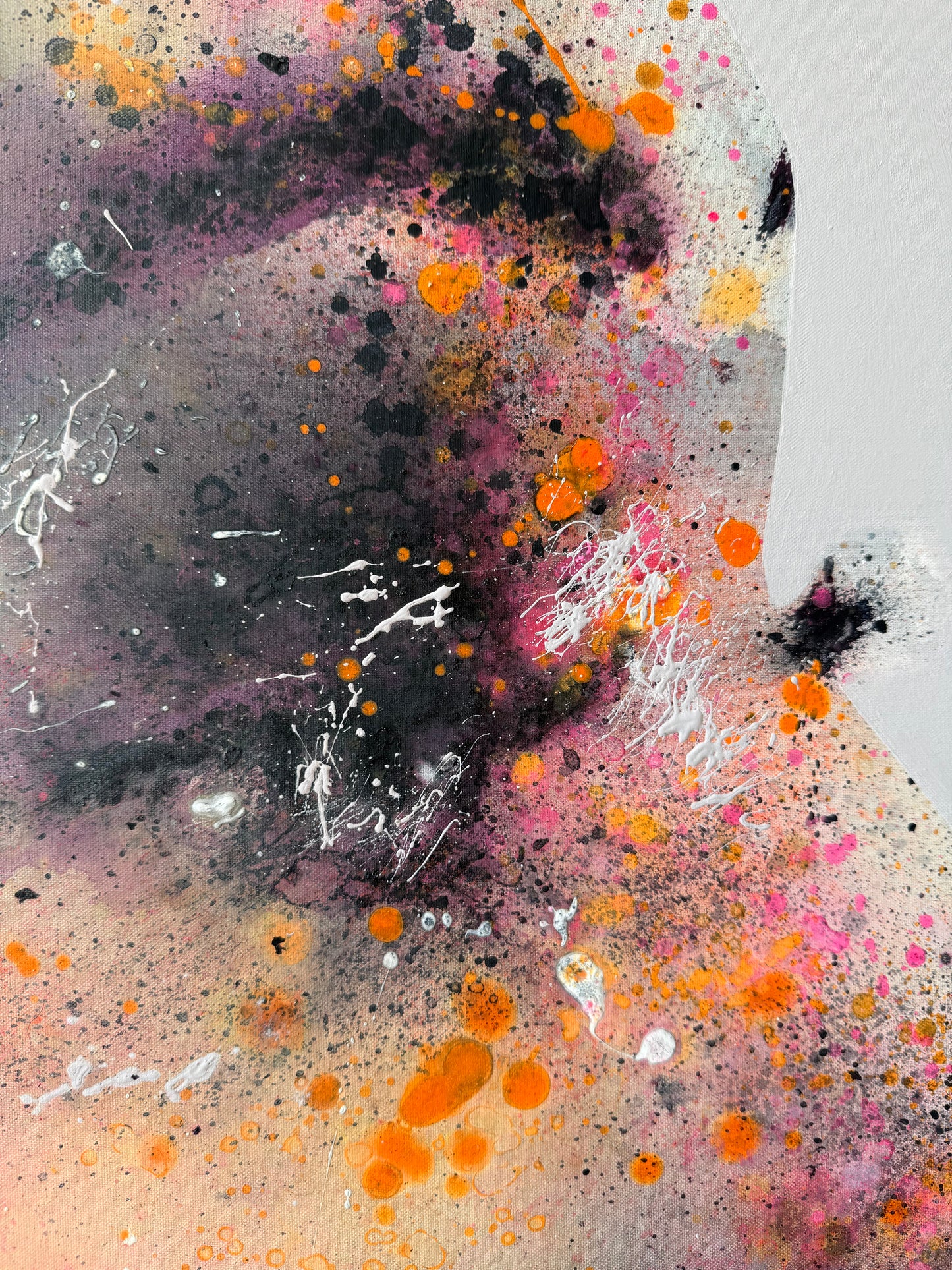 portraits | pink lover