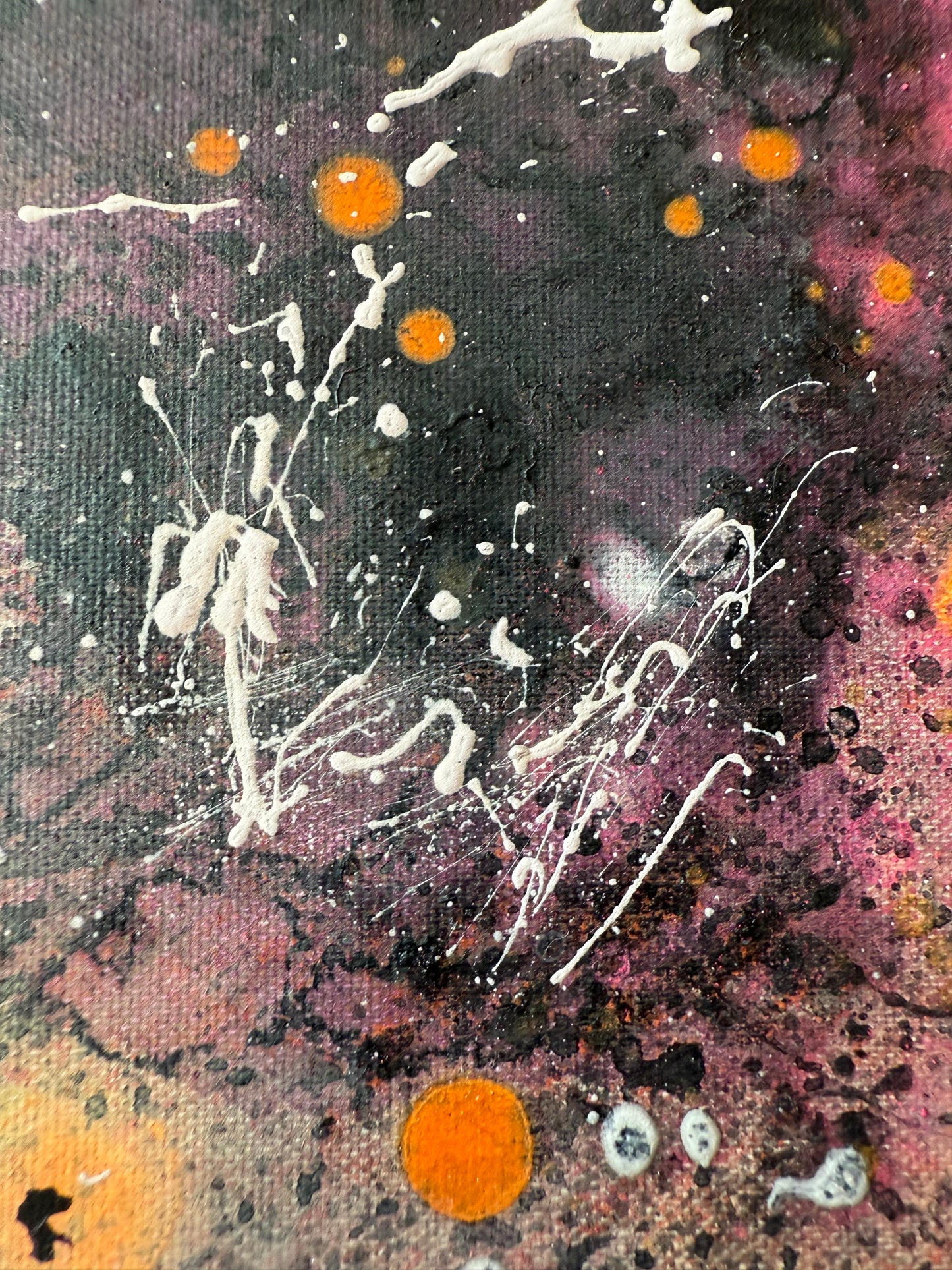 portraits | pink lover