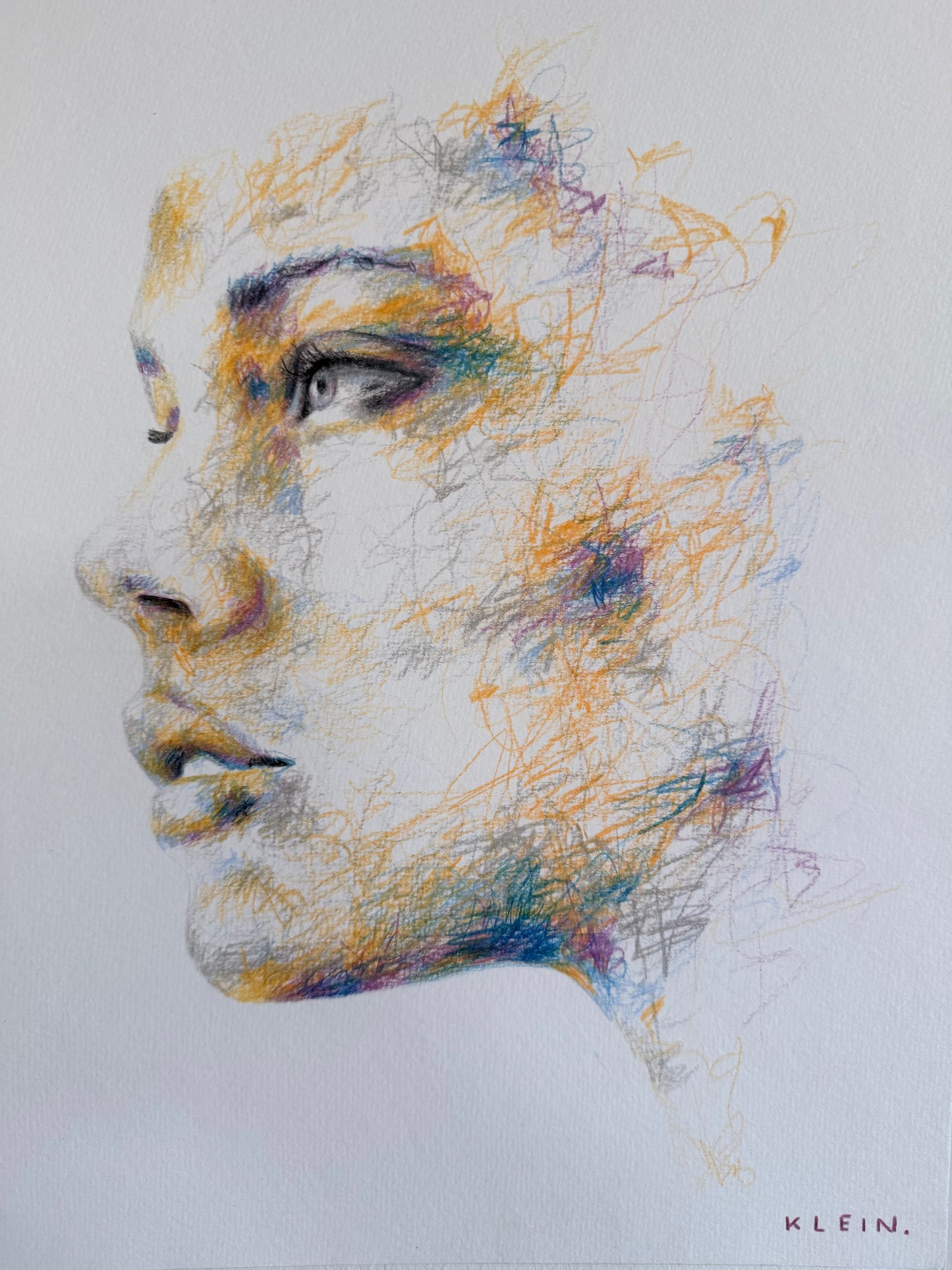 portrait | limited chaos III